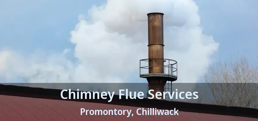Chimney Flue Services Promontory, Chilliwack - BC Chimney Flue Services Promontory, Chilliwack - BC