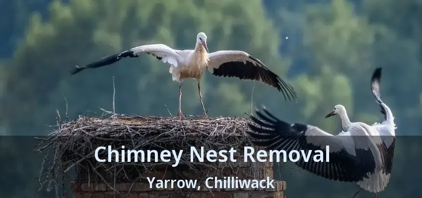 Chimney Nest Removal Yarrow, Chilliwack - BC