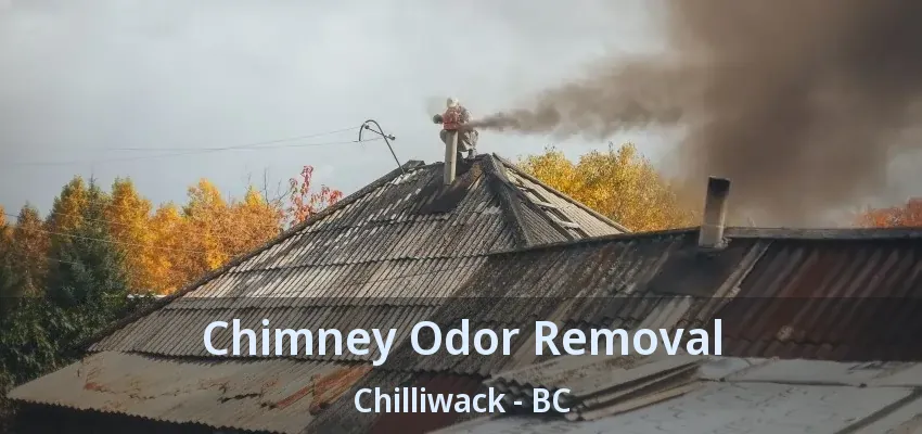 Chimney Odor Removal Chilliwack - BC Chimney Odor Removal Chilliwack - BC