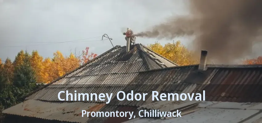 Chimney Odor Removal Promontory, Chilliwack - BC Chimney Odor Removal Promontory, Chilliwack - BC