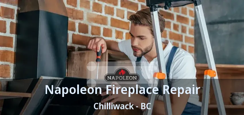 Napoleon Fireplace Repair Chilliwack - BC Napoleon Fireplace Repair Chilliwack - BC