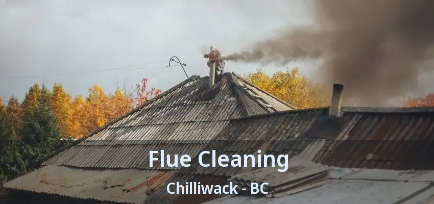 Flue Cleaning Chilliwack - BC Flue Cleaning Chilliwack - BC