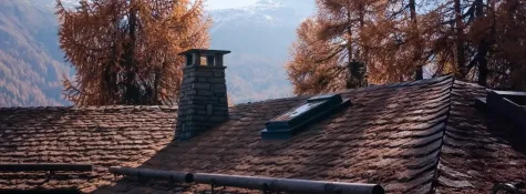 Book for Chimney Animal Removal